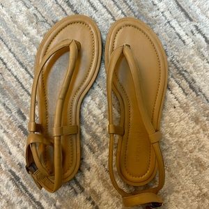 Everlane the Endless Summer Sandal